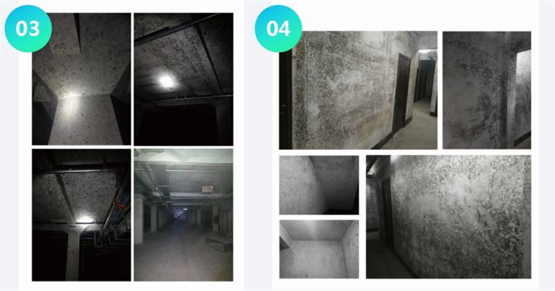 霉菌的溫床：地下車庫或儲藏室潮濕、滲漏...(圖2)